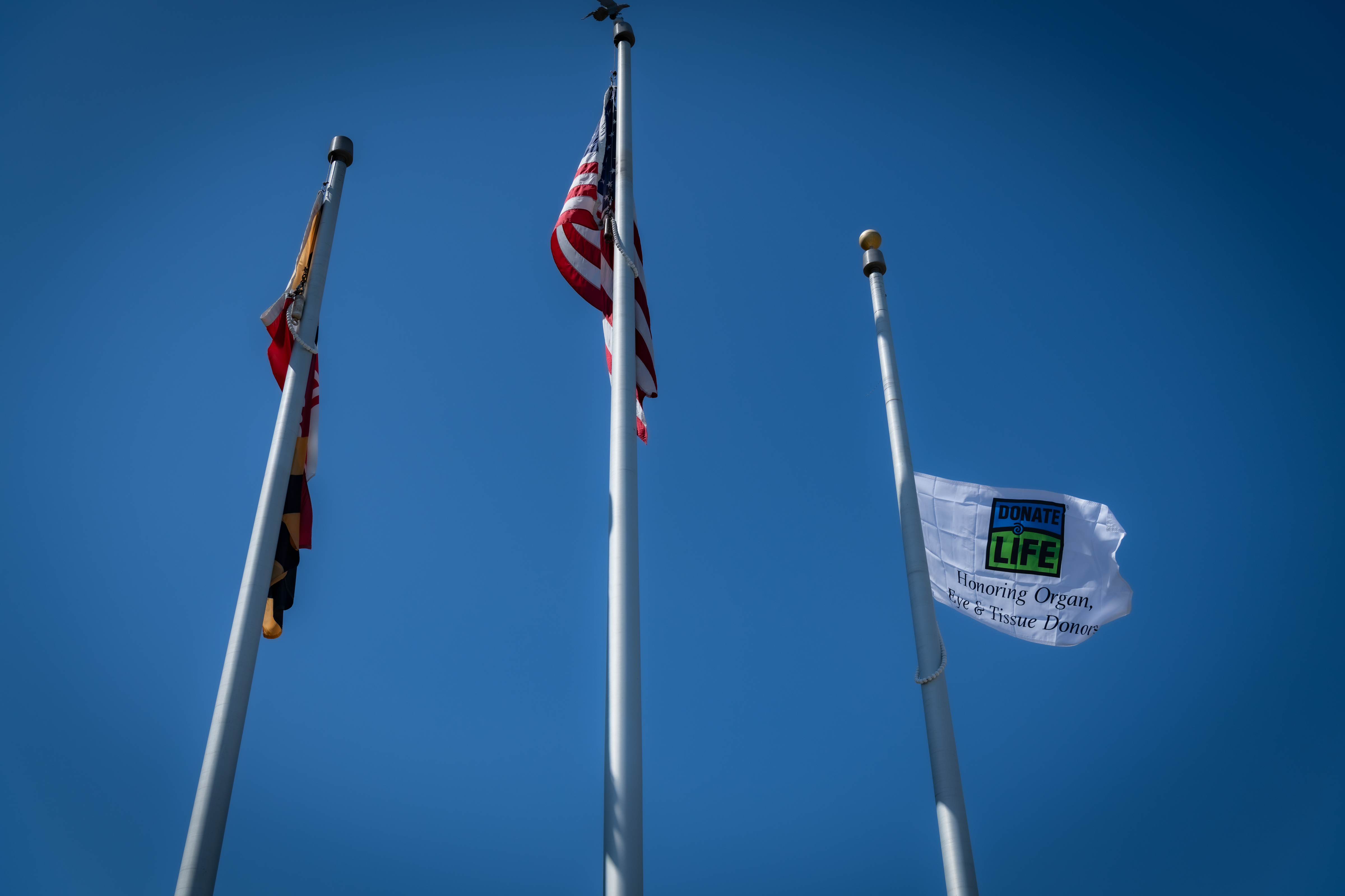 Three flags fly in the sky on a clear day, the Maryland flag, the American flag, and a flag that says "Donate Life, Honoring Organ, Eye, and Tissue Donors."